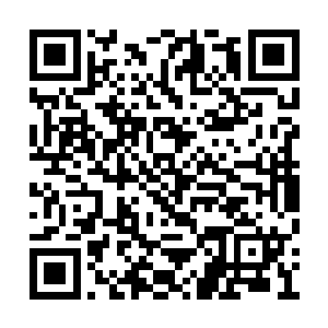 但是米院长看那些泥腿子根本没有任何社会地位二维码生成