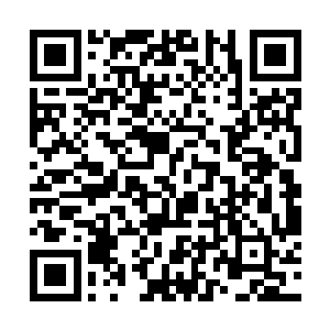 但是能亲眼看见一件残破的神甲在自己手中恢复如初二维码生成