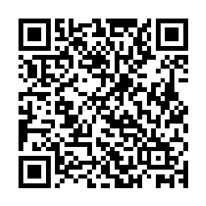 但是能感受到周边空气中漂浮着得稀少灵气微粒形成一条条细线二维码生成