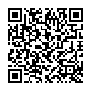 但是能登上纽约时装周的T台是多少女孩儿的梦想啊二维码生成