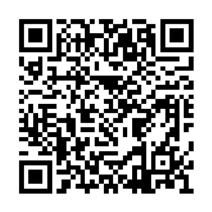 但是能让代离另眼相看从那么多血族里面挑出来二维码生成