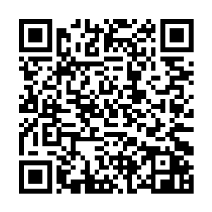 但是自从他在坊市中的铸剑铺中领悟了金之剑意之后二维码生成