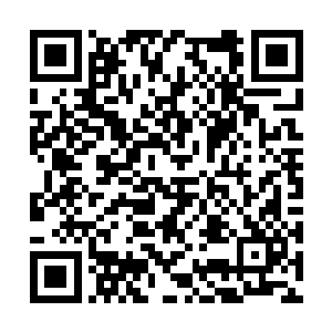 但是自从在霍普金斯医学院和谢兰兰成为同学之后二维码生成
