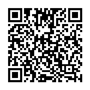但是自小就由世子与她们说一些关于自家小姐的事情二维码生成