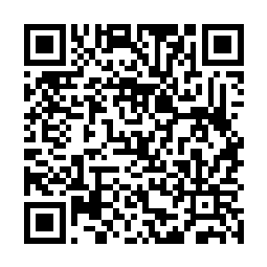 但是自己的家族在整个过程当中还是受到了相当的打击二维码生成