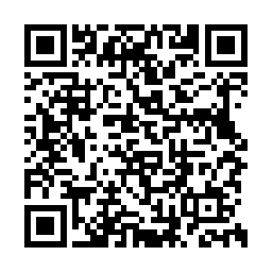 但是至少沙州在招投标等制度建设上存在着问题二维码生成