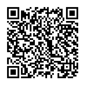 但是苏凡怎么都没想到在圣庭之中除了十二圣骑之外竟然还有这这么强大的家伙二维码生成