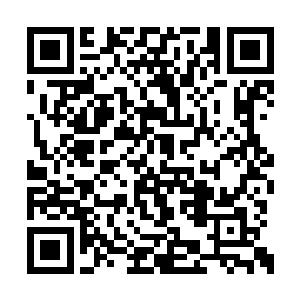 但是苏妈妈是不会眼睁睁看着自家女儿这么难受二维码生成