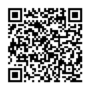 但是苏落和南宫流云并没有将这几个人放在眼里二维码生成