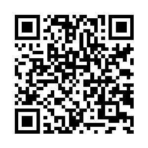 但是莫小鱼抓住的是文征明画作的精气神二维码生成