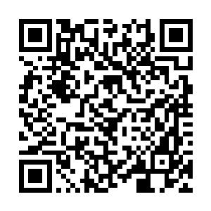 但是被龙幼萱连拉带拖的弄到了宴会厅的一个角落里二维码生成