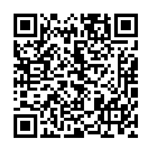 但是见他满眼悲愤的看着自己大概也觉得自己说的伤他心了二维码生成