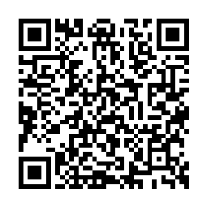 但是让喵星人睡到自己身上一整晚真的会舒服么二维码生成