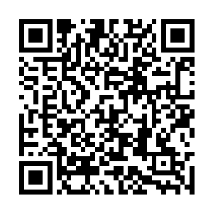 但是许紫烟布下的那道网紧紧地将蛇妖网在了里面二维码生成