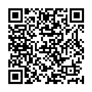 但是谢芳华一眼之下便将高台上几个人面容神态过目了一遍二维码生成