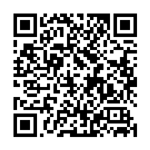 但是足足却是在天道的胸口划下看一道十多厘米的口子二维码生成