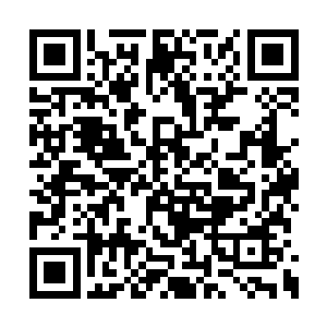 但是跟真正的天位强者相比却还是有着天壤之别二维码生成