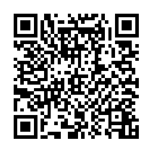 但是路易斯二世怎么都没想到龙王竟然会用这么无奈的招式二维码生成