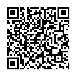 但是身为掌着一族权势的崔大夫人就是淮北王妃也不会轻视二维码生成