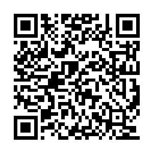 但是过了这个时间之后就不需要有太多的在意了二维码生成