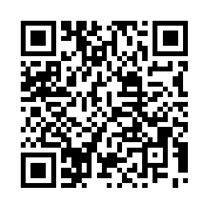 但是还掺杂了其他流派的异种道痕二维码生成