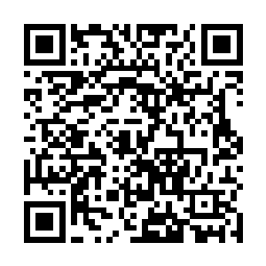 但是还是没什么资格随着白白女王一起走上主观礼台的二维码生成