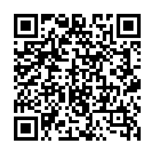 但是还是第一次知道原来水里长着的东西也有能吃的二维码生成