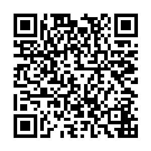 但是这一局从一开始就让他们有种雾里看花的感觉二维码生成