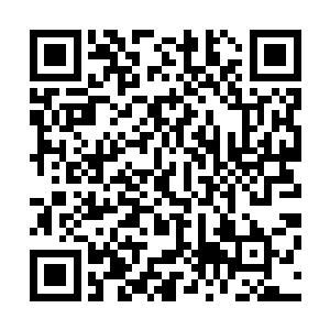 但是这一手洗牌的技术却是比一般的千王都还要更加厉害的二维码生成