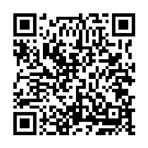 但是这个碰见好吃的东西就往兜里藏的毛病还没改过来二维码生成