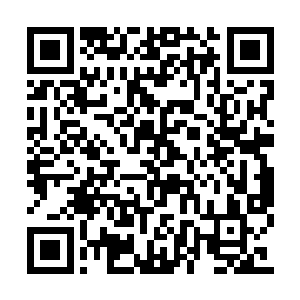 但是这个话王莉是不会当着自己的母亲去问及的二维码生成