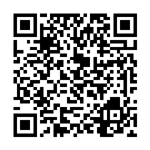 但是这事与其说跟龙战商量不如说是得跟老祭祀探讨二维码生成