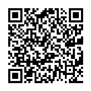 但是这些培养还是没有能够给他打好什么所谓的底子二维码生成