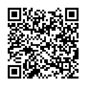 但是这会儿我亲眼见到的时候依然是有些难以接受二维码生成