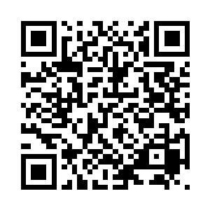 但是这朵花上仍然携带着令人心悸的力量二维码生成