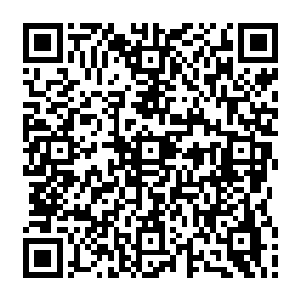 但是这样的场景……实在是让期待狭路相逢迸发火强烈化学反应的观众们失望无比二维码生成