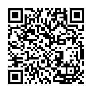 但是这次看到江迟聿和何书蔓回来却不见自己的堂姐回来二维码生成