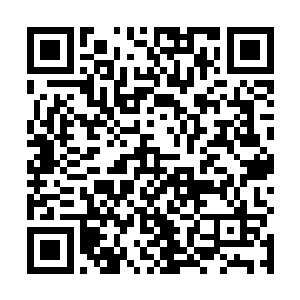 但是这没有想到这样一头危险的生物竟然出现在大街上二维码生成