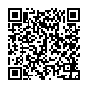 但是这点小事也不至于让你枢密使急忙忙进宫来向朕禀报吧二维码生成
