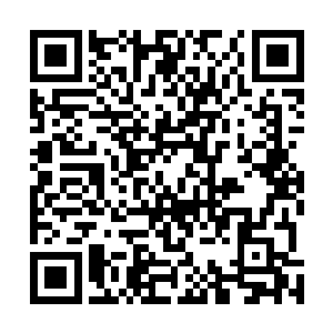 但是这种不是发自内心的意识改变或者说职业规则的改变二维码生成