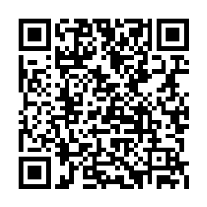 但是这种圣女可不是其他族群中那种超脱傲立的二维码生成