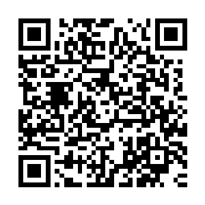 但是这种坐以待毙或者说坐享其成的方式从来都不是杨晨要做的二维码生成