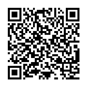 但是这经验却大部分都是在官场熬出来的阴谋诡计和尔虞我诈二维码生成