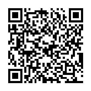 但是这绝对不是简单的将前面七种泥土搅拌一起而成的二维码生成