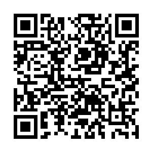 但是连他似乎对于小金的问题也并不是太过于清楚二维码生成
