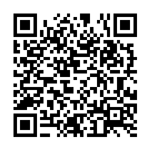 但是迷蝶族众口一致的不知道却是让羽溪直接慌了二维码生成