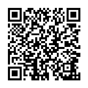 但是遇到龙傲天一行人结果注定对于闪电貂来说是悲剧的二维码生成