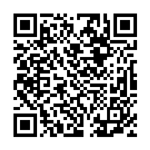 但是道丹对于他们这种人来说实在是有些太过于遥远了二维码生成