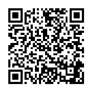 但是那一次的经历仿佛是梦魇一般让她的心阵阵战栗二维码生成