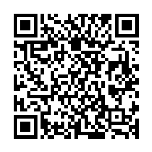 但是那一阵阵杀戮和暴虐驱动着她想要将眼前所有的生灵斩杀二维码生成